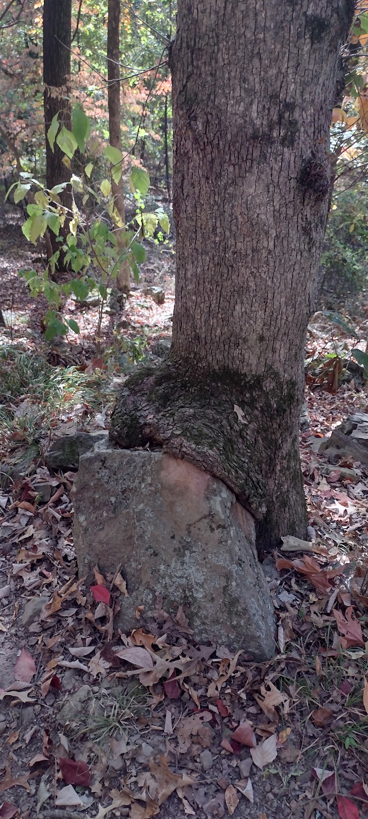 Colley Park - Van Buren, AR