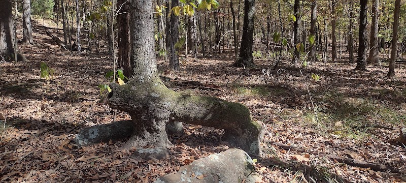 Colley Park - Van Buren, AR