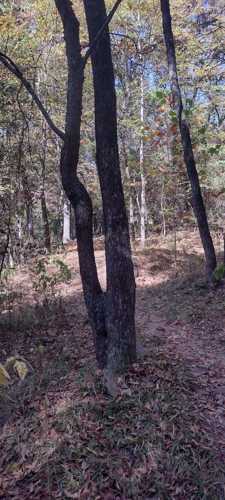 Colley Park - Van Buren, AR