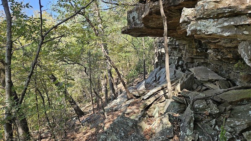 Lee Creek Reservoir Recreation Area - Van Buren, AR