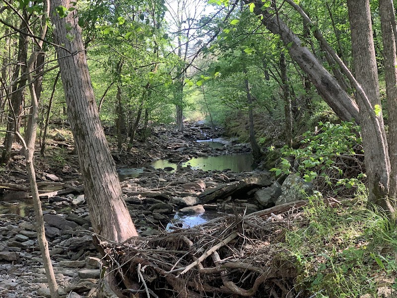 Lee Creek Reservoir Recreation Area - Van Buren, AR