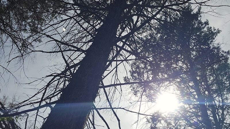 Peer Park - Van Buren, AR