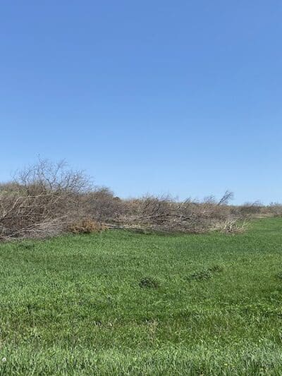 Badger Creek State Recreation Area - Van Meter, IA
