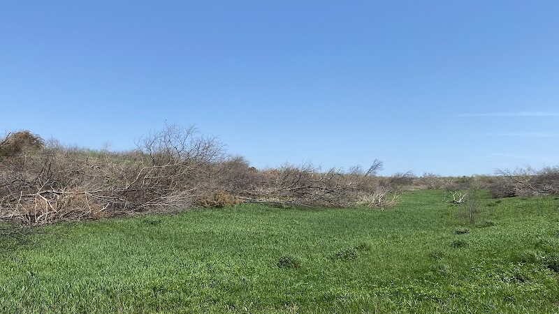 Badger Creek State Recreation Area - Van Meter, IA