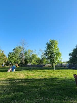 Bark Park