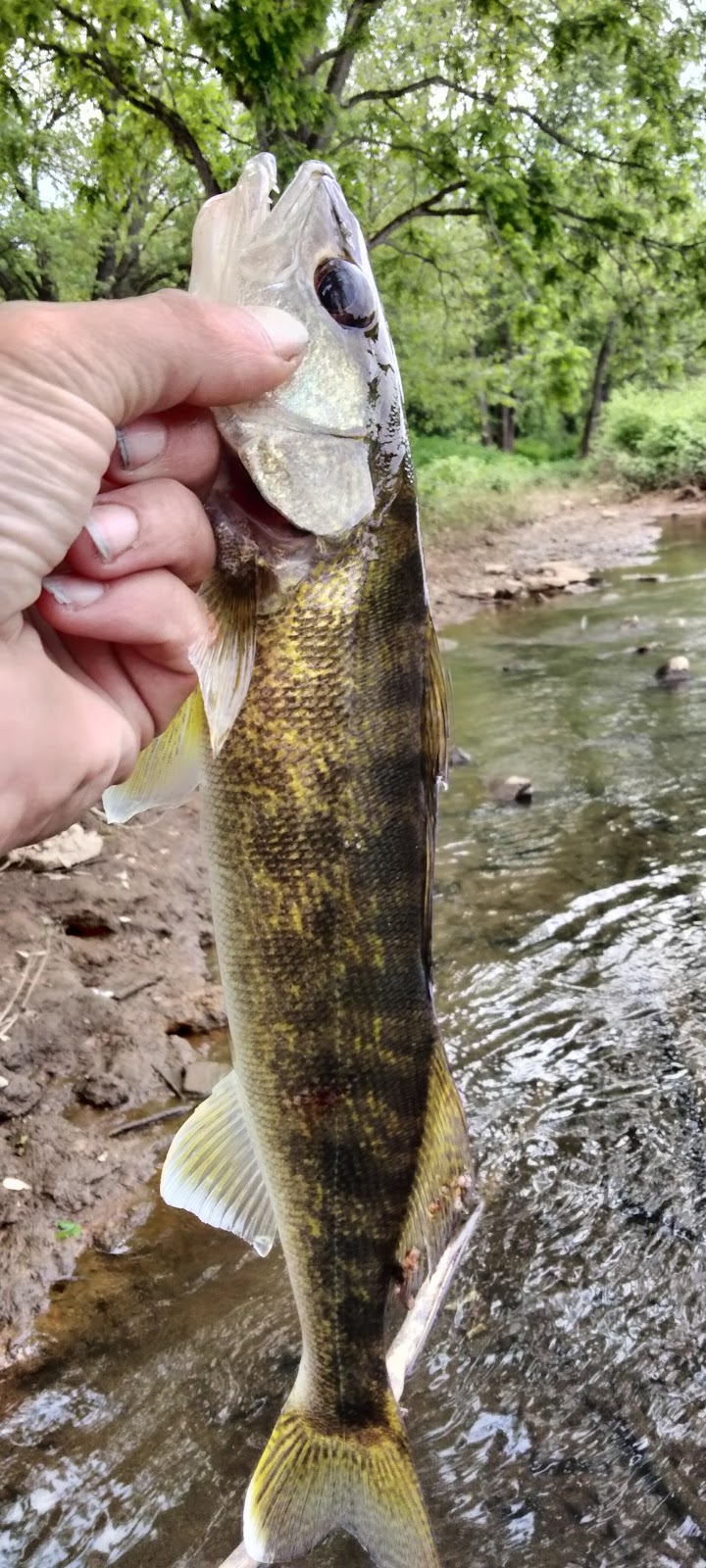 East Vandergrift Park - Vandergrift, PA