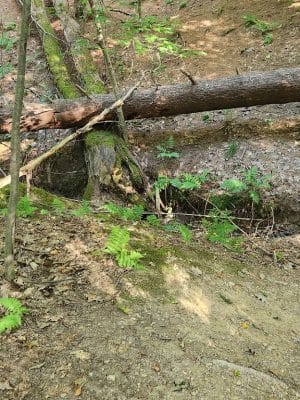 East Vandergrift Park