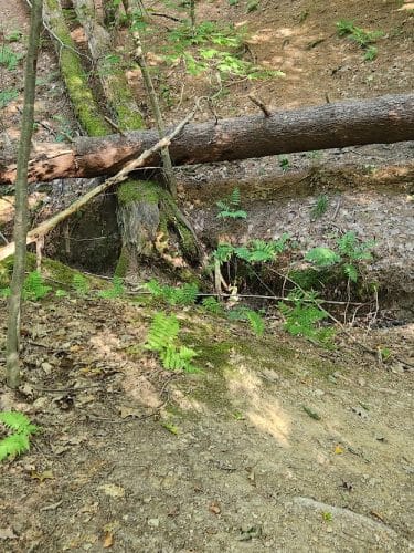 East Vandergrift Park