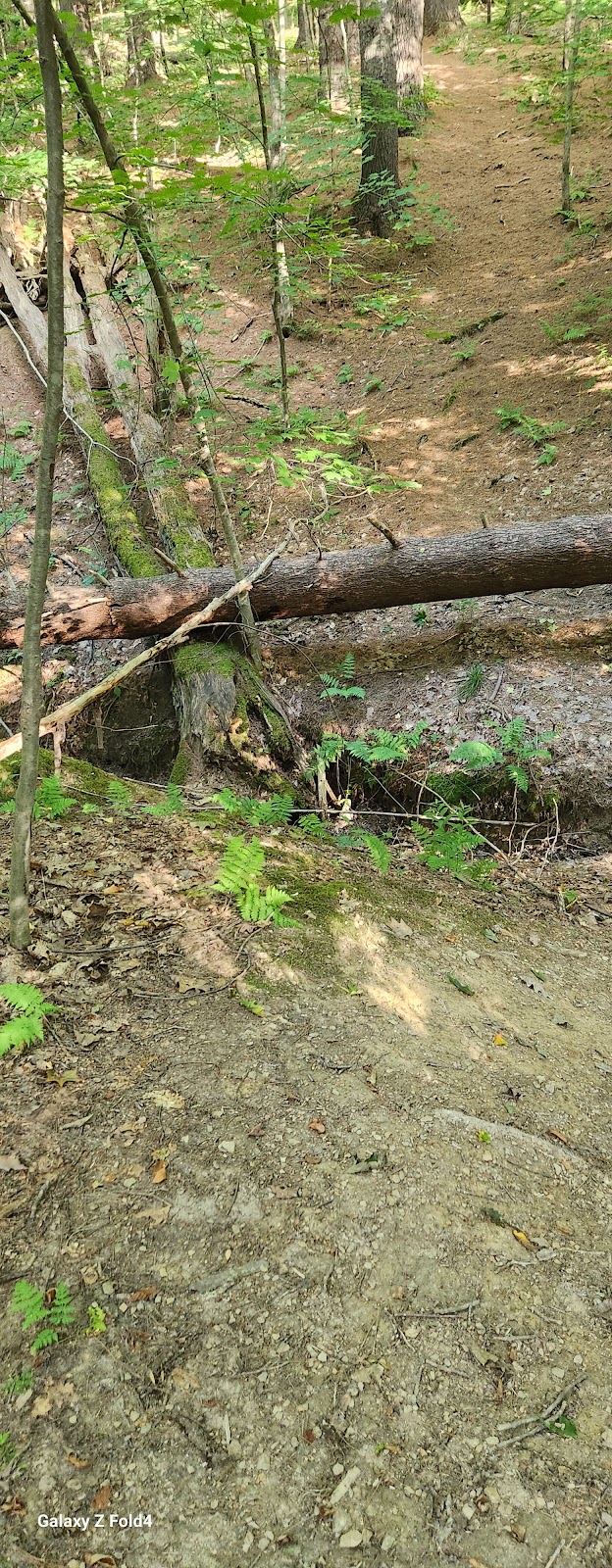 East Vandergrift Park - Vandergrift, PA