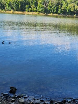 East Vandergrift Park