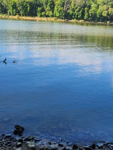 East Vandergrift Park