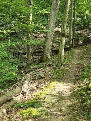 East Vandergrift Park