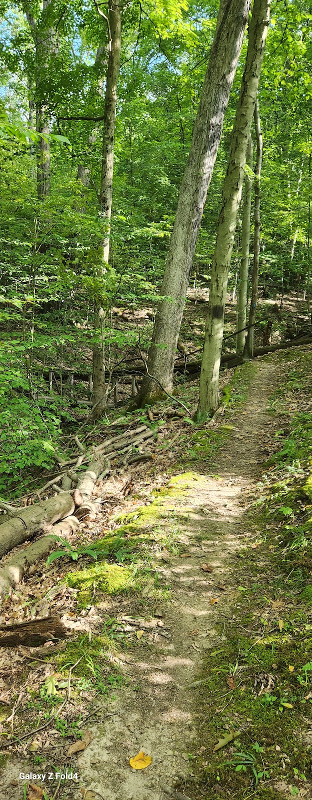 East Vandergrift Park - Vandergrift, PA