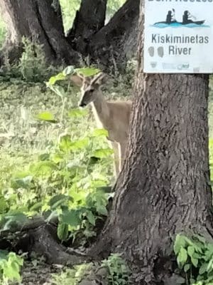 East Vandergrift Park