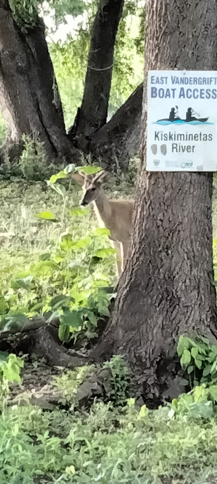 East Vandergrift Park - Vandergrift, PA