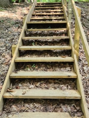 East Vandergrift Park