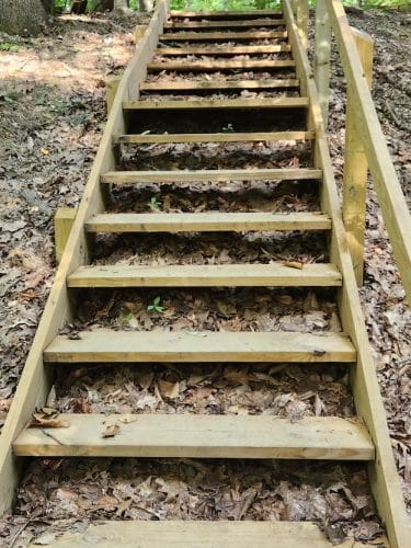 East Vandergrift Park