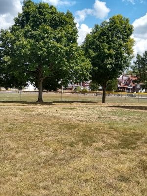 Kennedy Park