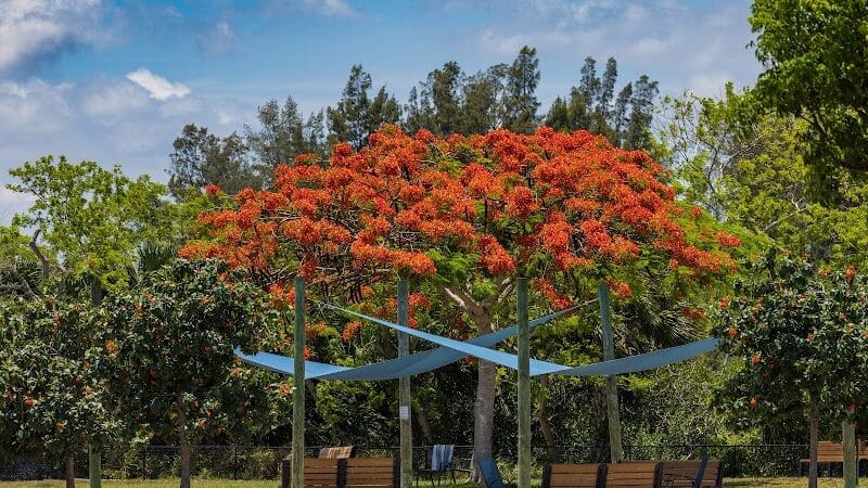 Vero Beach Dog Park - Vero Beach, FL