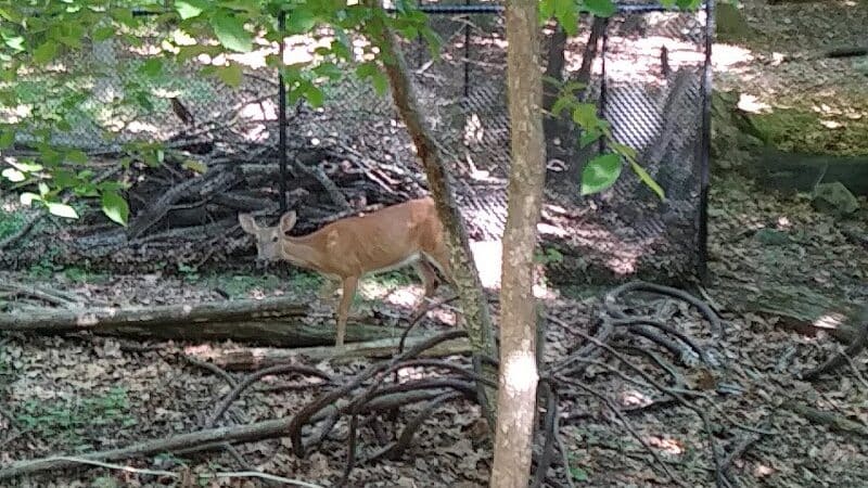West Essex Trail - Verona, NJ