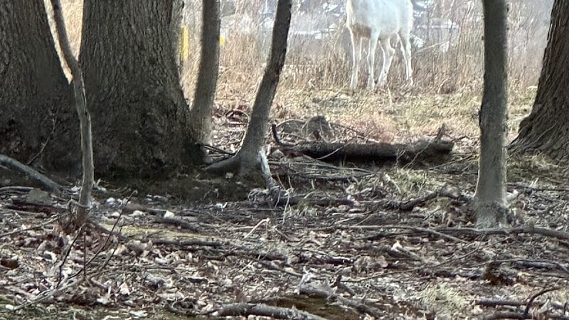 West Essex Trail - Verona, NJ