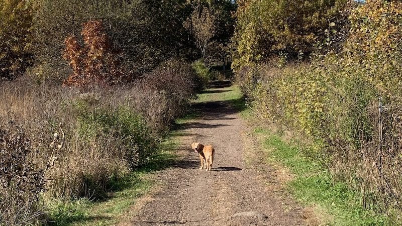 Prairie Moraine Dog Park - Verona, WI