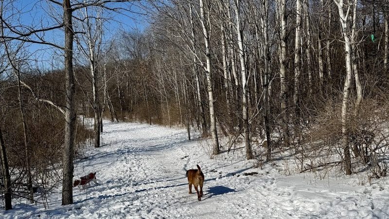 Prairie Moraine Dog Park - Verona, WI
