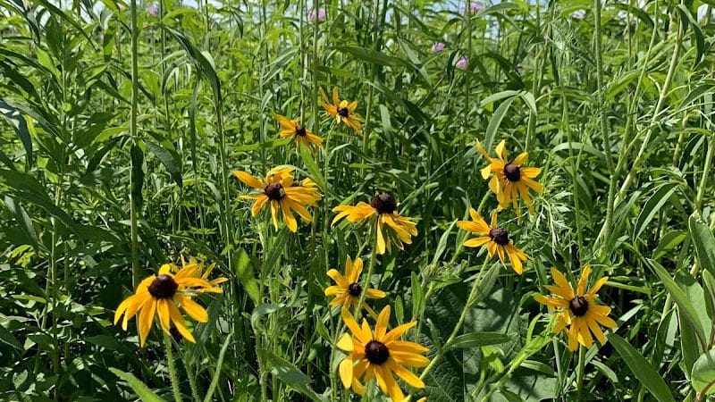 Prairie Moraine Dog Park - Verona, WI