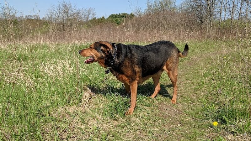 Prairie Moraine Dog Park - Verona, WI
