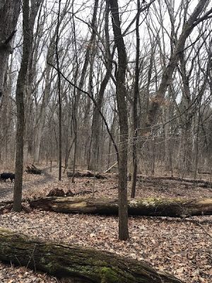 Prairie View County Park