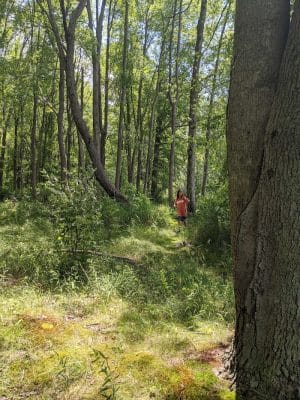Prairie View County Park