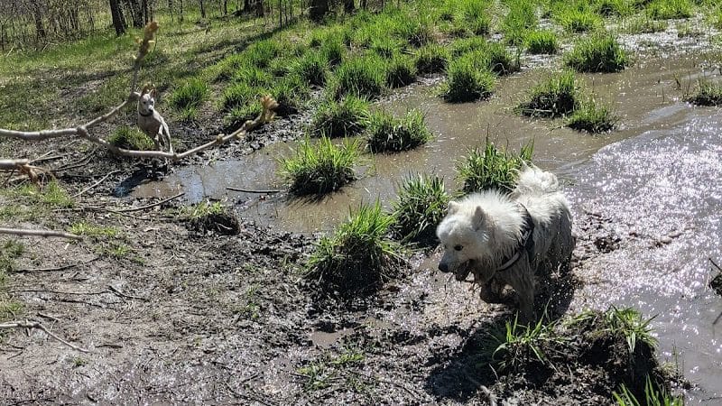 Carver Park Reserve Off-Leash Dog Park - Victoria, MN