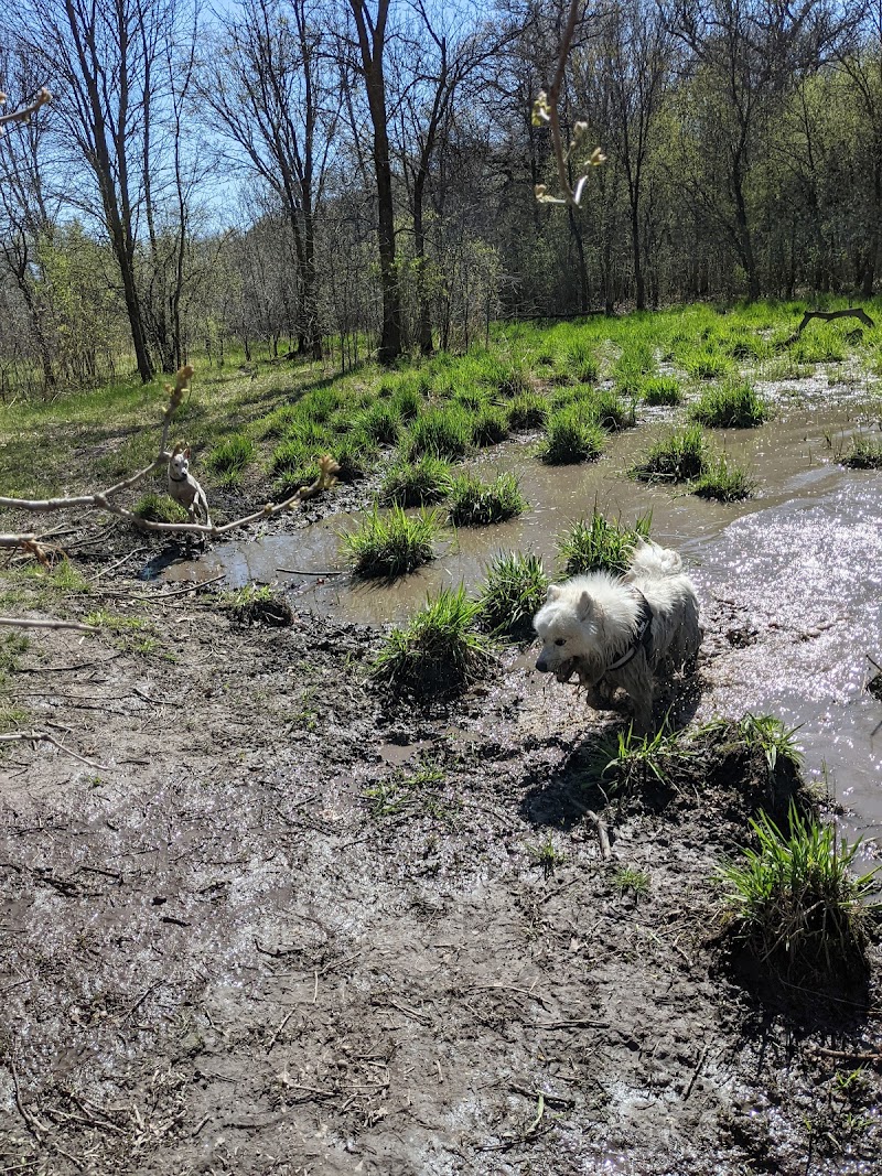 Carver Park Reserve Off-Leash Dog Park - Victoria, MN