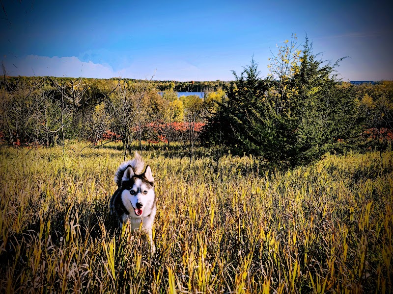Carver Park Reserve Off-Leash Dog Park - Victoria, MN