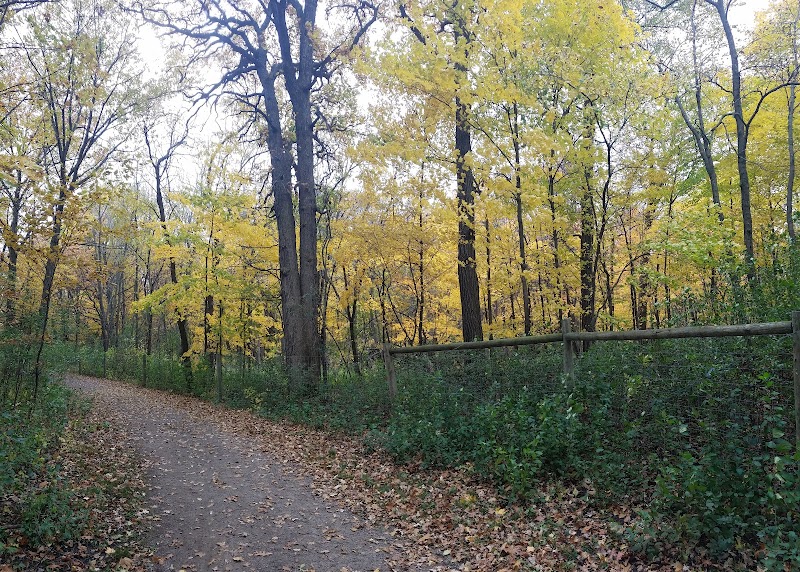 Carver Park Reserve Off-Leash Dog Park - Victoria, MN