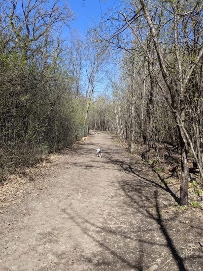 Carver Park Reserve Off-Leash Dog Park - Victoria, MN