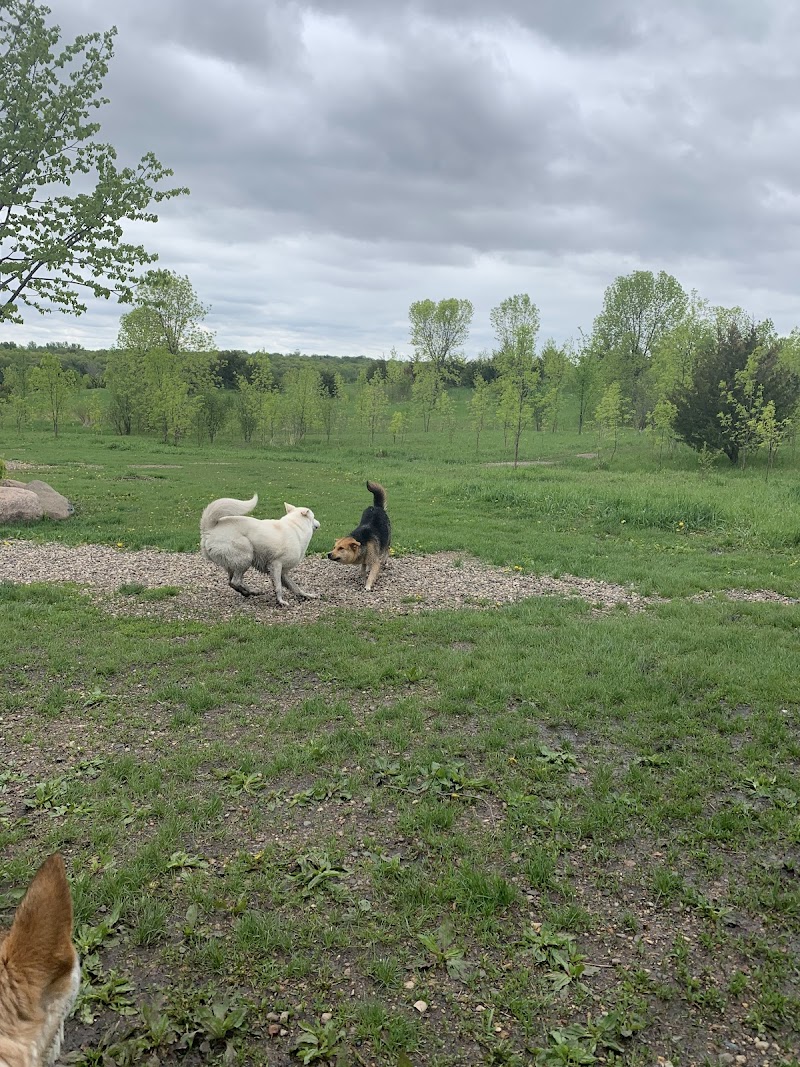 Carver Park Reserve Off-Leash Dog Park - Victoria, MN