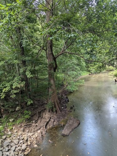 Tunnel Hill State Trail