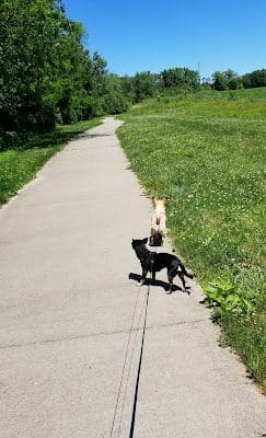 Vienna City park