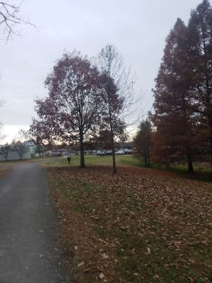 Vienna City park