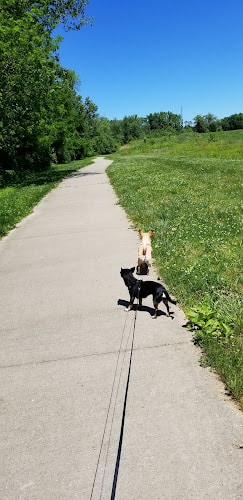 Vienna City park - Vienna, IL