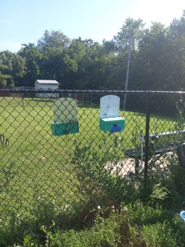 Viola Dog Park for Mercer County