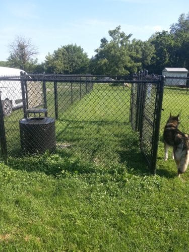 Viola Dog Park for Mercer County
