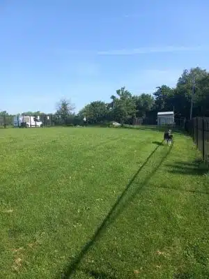 Viola Dog Park for Mercer County