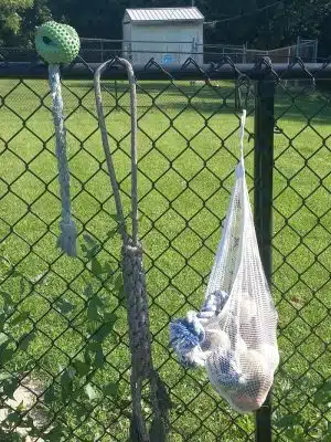 Viola Dog Park for Mercer County