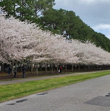 Red Wing Dog Park - Virginia Beach, VA