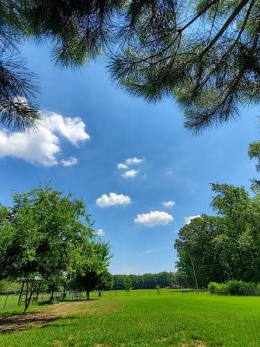 Red Wing Dog Park - Virginia Beach, VA