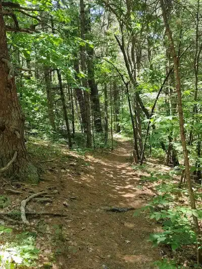 Keleher Preserve - Voorheesville, NY