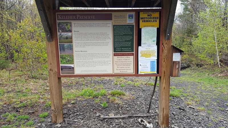 Keleher Preserve - Voorheesville, NY