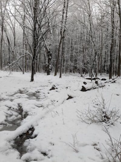 Stephen P Wallace Park - Voorheesville, NY